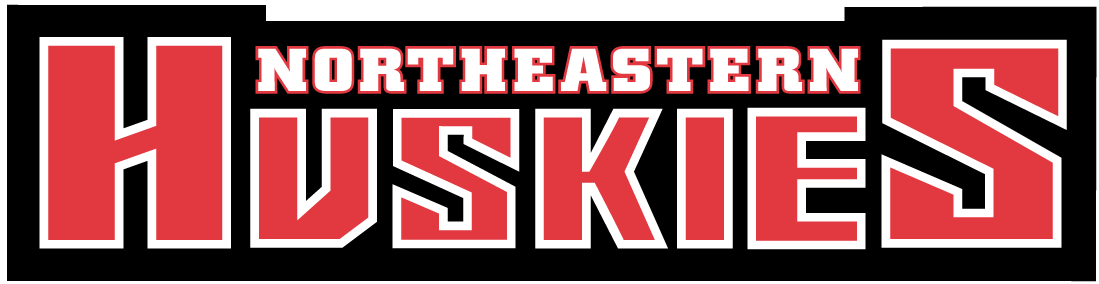 Northeastern Huskies 2001-Pres Wordmark Logo diy fabric transfer
